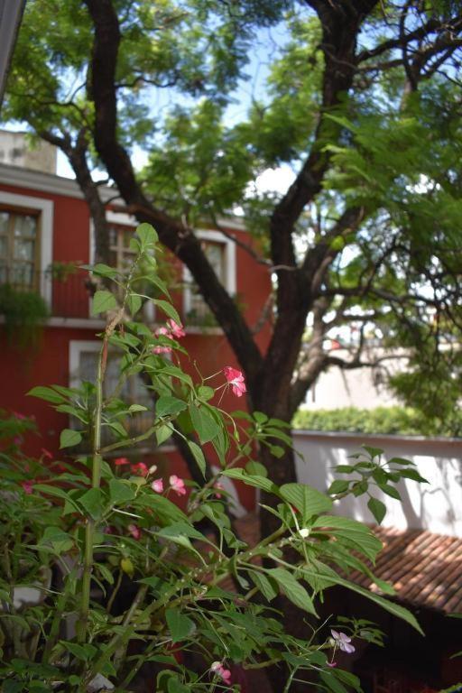 Hotel Ana Catalina And Suites San Miguel de Allende Eksteriør billede